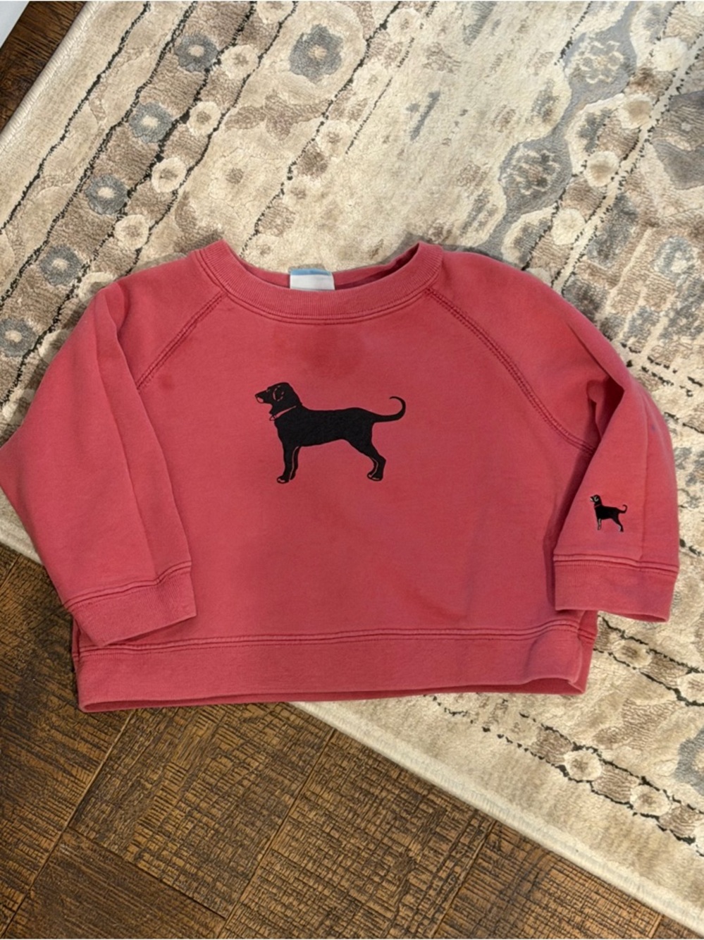 Black Dog Sweatshirt